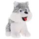 Halen Husky