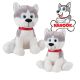 Nanook Husky
