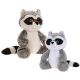 Gascon Raccoon