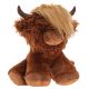 Angus Cow