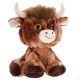 Kyloe Highland Bull