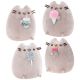 Pusheen Asst. (4)