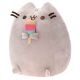 Snow Cone Pusheen