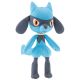 Riolu, Pokemon