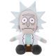 Rick Sanchez, R&M